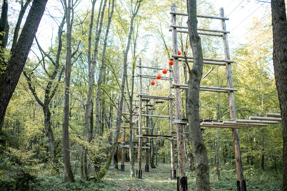 Hochseilgarten zwischen Bäumen im Wald (Kletterwald)