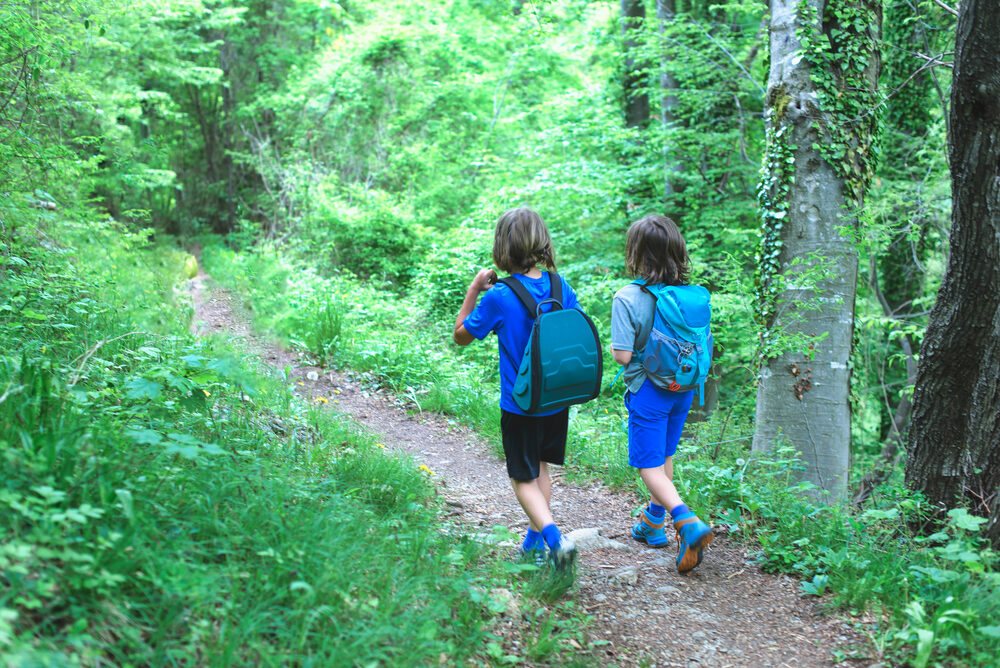 Zwei Kinder mit Rucksäcken wandern auf einem Waldweg